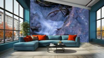 stream in the forest Wall mural