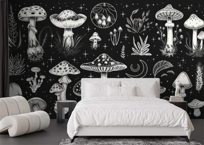 The largest mystical set with magical mushrooms. A collection of celestial mushrooms. Witchy tattoos and occult clipart. Wall mural