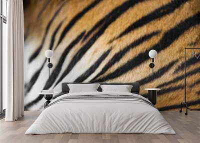 Tiger Stripes Wall mural