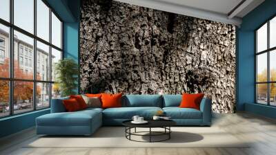 Details of natural texture of tree bark with sunlight Wall mural