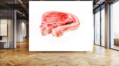 One fresh lamb loin chop on white background. Fine premium quality meat product uncooked juicy surface and herb. Butcher craft and skill. Wall mural