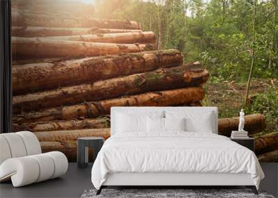 Pile of freshly cut wooden logs on a side of a muddy road in a forest. Forestry industry and business. Fire wood and construction material production. Ecology issue. Profit on natural resources. Wall mural