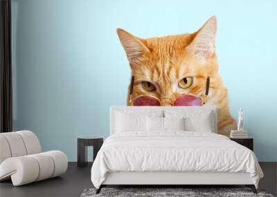 Closeup portrait of funny ginger cat wearing sunglasses isolated on light cyan. Copyspace. Wall mural