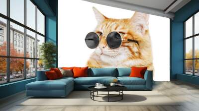 Closeup portrait of funny ginger cat wearing sunglasses isolated on white. Shallow focus. Wall mural