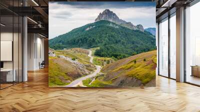 High peak Puzim with tar road in Bosnia and Herzegovina Wall mural