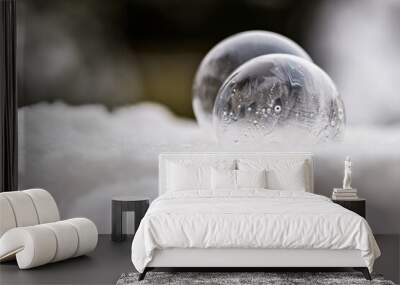 Two frozen soap bubbles freezing of low temperature under zero on snow Wall mural