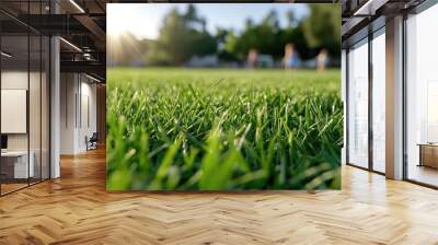 A close-up of vibrant green grass in a park, with soft sunlight filtering through trees in the background, creating a peaceful outdoor atmosphere. Wall mural