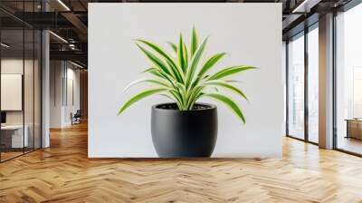 Stylish Potted Plant with Green and White Leaves Wall mural