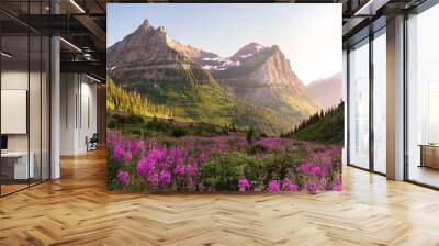 Glacier National Park Wall mural