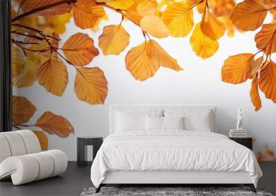 Autumn leaves in the air, white background, copy space concept, wide banner with autumn tree branch with yellow and orange leaves, banner design Wall mural