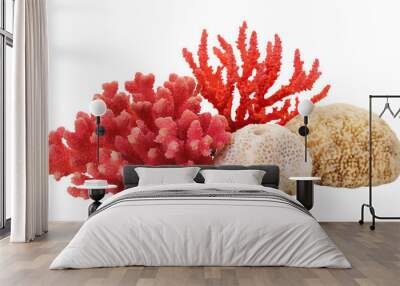 Coral reef - isolated on transparent background Wall mural