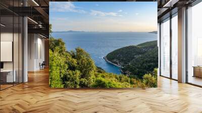 Amazing view of coastline on Korcula island in Adriatic sea in Croatia Wall mural