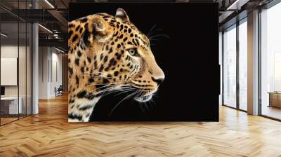 Leopard close up head on black background  Wall mural