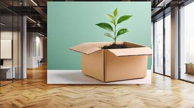 Plant growing in a cardboard box on simple colored background with copy space Wall mural