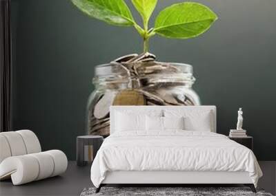 plant growing out of coins in glass jar Wall mural