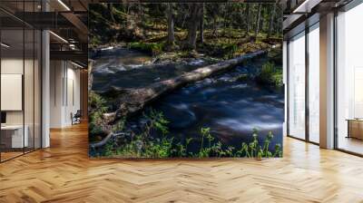 river in the forest Wall mural