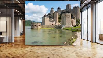 Medieval Golubac fortress on river Danube in Serbia Wall mural