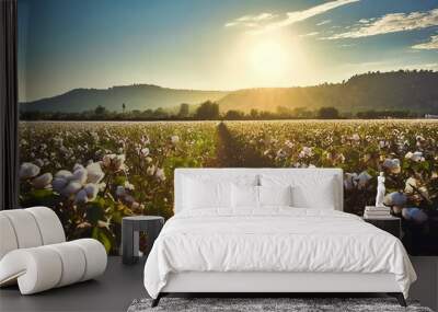 Scenic view of a cotton field with sun light Wall mural