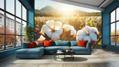 Scenic view of a cotton field with sun light Wall mural