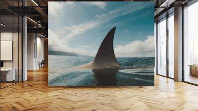 shark fin on surface of ocean agains blue cloudy sky  Wall mural