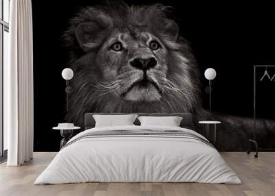 black and white lion Wall mural