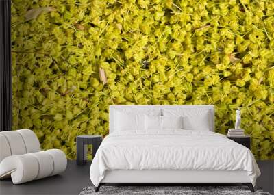 field of yellow flowers Wall mural