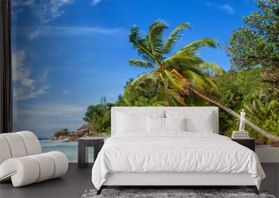 Seychelles Anse Georgette beach Praslin island palm panoramic view holidays vacation paradise sea Wall mural