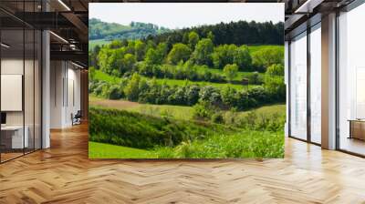 green landscape in austria weinviertel Wall mural