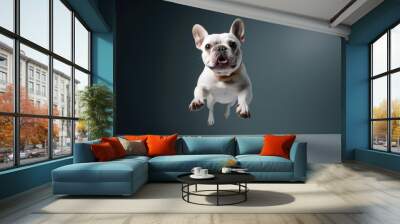 Full-length portrait photography of an aggressive french bulldog jumping against a minimalist or empty room background. With generative AI technology Wall mural