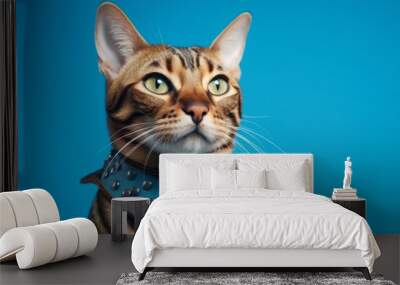 funny bengal cat wearing a shark fin harness isolated in cerulean blue background Wall mural