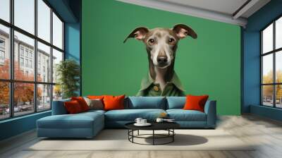 Medium shot portrait photography of a cute italian greyhound dog wearing a denim vest against a green background. With generative AI technology Wall mural