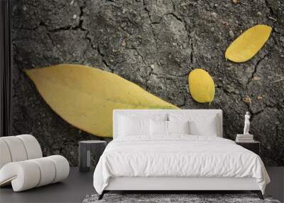 fallenleaf 2 Wall mural