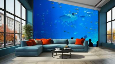 A scene at an aquarium with fish swimming Wall mural