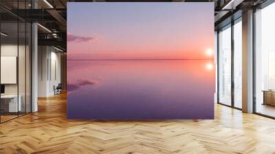 Landscape beautiful golden sunset red sky solt lake saline Elton Baskunchak. The sun sets behind the horizon Wall mural