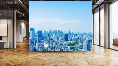 Landscape of central Tokyo Wall mural