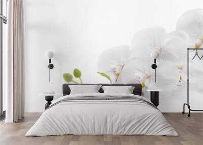 Spa white orchid with massage stones Wall mural