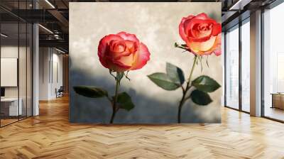 A nature photograph featuring two natural rose flowers and their own shadows as the background Wall mural