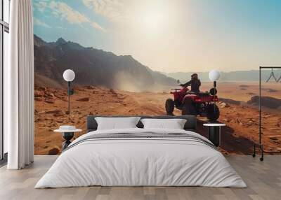 
In the stone desert of the Sinai Peninsula, tourists embark on an adventure-filled excursion, exploring the rugged terrain on quad bikes. The wide panorama showcases the expansive mountain landscape Wall mural