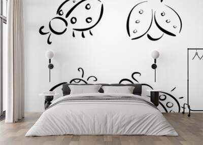 Sketch icons - ladybug Wall mural