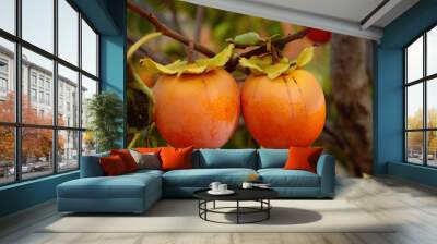 kaki tree branch with ripe fruits Wall mural