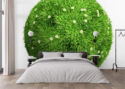 3d grass ball with flowers Wall mural