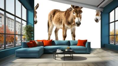 donkey isolated on transparent background ,donkey side view cut out generative ai Wall mural