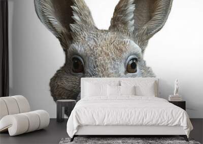 front view rabbit mask isolated on transparent background ,generative ai Wall mural