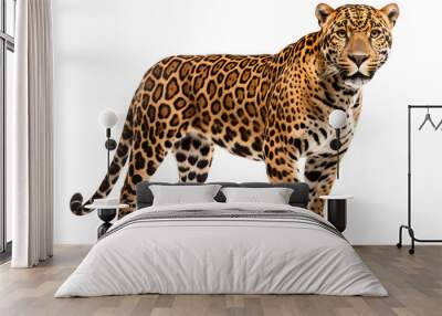 jaguar isolated on transparent background ,leopard wildcat clipart ,generative ai Wall mural