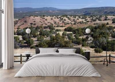 View of the beautiful landscape near the Army Corps of Engineers’ Abiquiu Lake in northern New Mexico, USA Wall mural