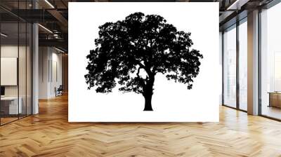 beautiful vector tree illustration silhouette icon for websites Wall mural