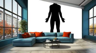 Male human body belonging to an adult man Wall mural