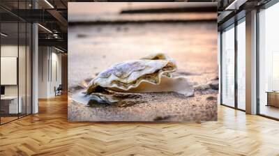 Fresh oyster in the sand at the beach during low tide Wall mural