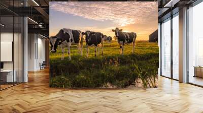 Cows in the summer evening Wall mural