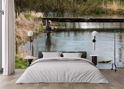 a fly fisherman angler in chest waders casts his line fishing for brown trout on the beautiful scenic river Avon, Wiltshire UK  Wall mural